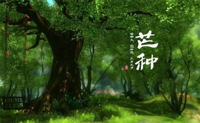 20200609/14c4406946ba4a4673b1fb8f17292163.jpg 6.jpg