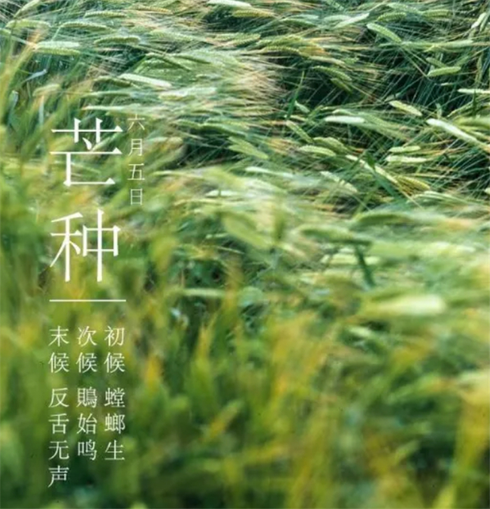 20200609/7ecadf3faeac9c41df2bb8ca682ac875.jpg 15.jpg